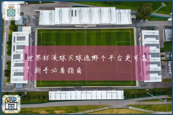 世界杯滚球买球选哪个平台更可靠？新手必看指南