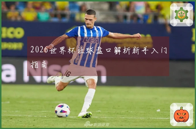 2026世界杯让球盘口解析新手入门指南