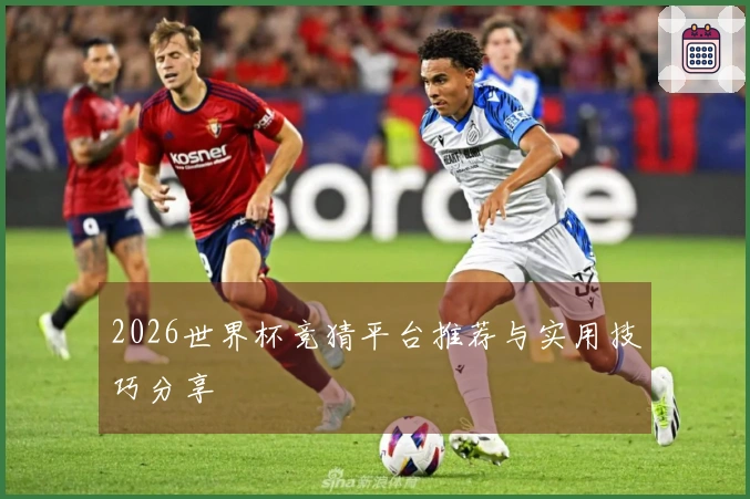 2026世界杯竞猜平台推荐与实用技巧分享