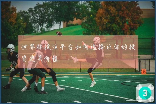 世界杯投注平台如何选择让你的投资更具价值